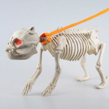 Skeleton dog on a leash