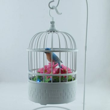 summer items: bird cage